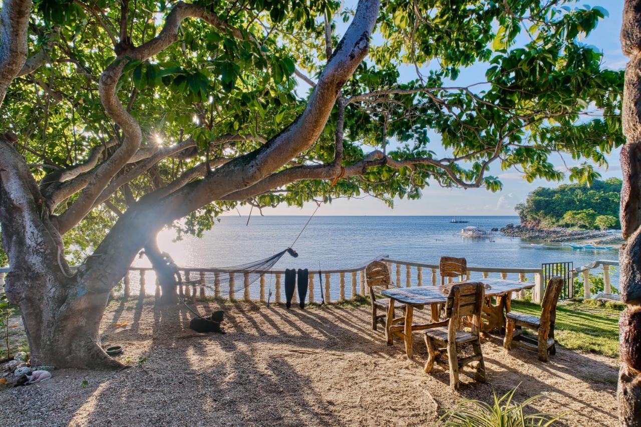Pilar Pilapil Beach Resort Daanbantayan Dış mekan fotoğraf